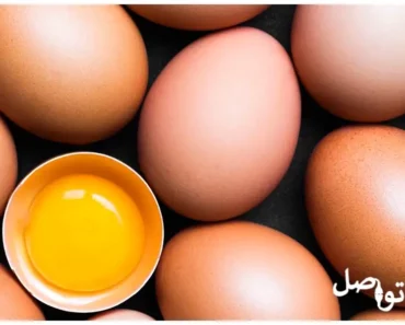 فوائد بيض الدجاج: إكتشف فوائده الصحية المدهشة!